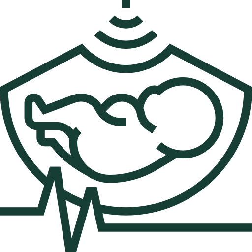 Pregnancy Nutrition