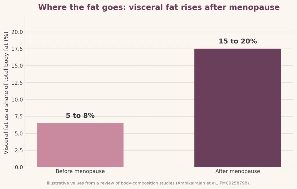 Line chart showing perimenopause weight gain of about one to one and a half pounds per year between ages 45 and 55.