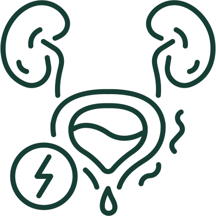 Urinary Incontinence & Bladder Leakage
